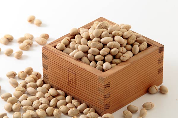 小さな升に大豆を盛り上げて白いバックに置き回りにたくさんの大豆を散らばして撮影
