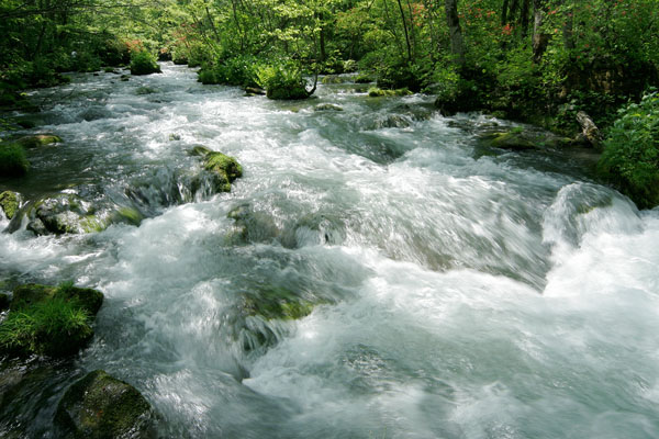 急流 清流 水面 川面 激しい水の流れイメージ 渓流 画像6 無料写真素材