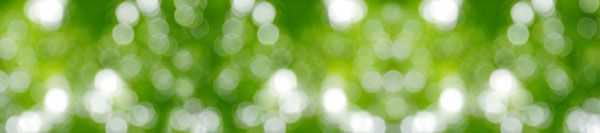 自然の緑 水玉（ボケ）グデーション 背景 バック 素材 画像1 無料写真素材