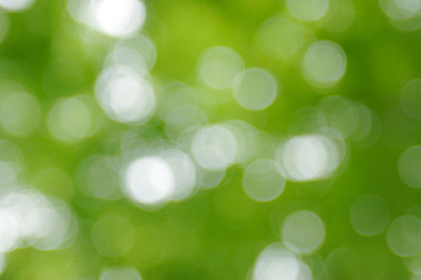 自然の緑 水玉（ボケ）グデーション 画像2　背景素材 フリー写真素材