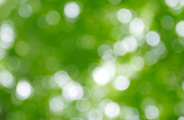 自然の緑 水玉（ボケ）グデーション 画像2　バックグラウンド 無料写真素材