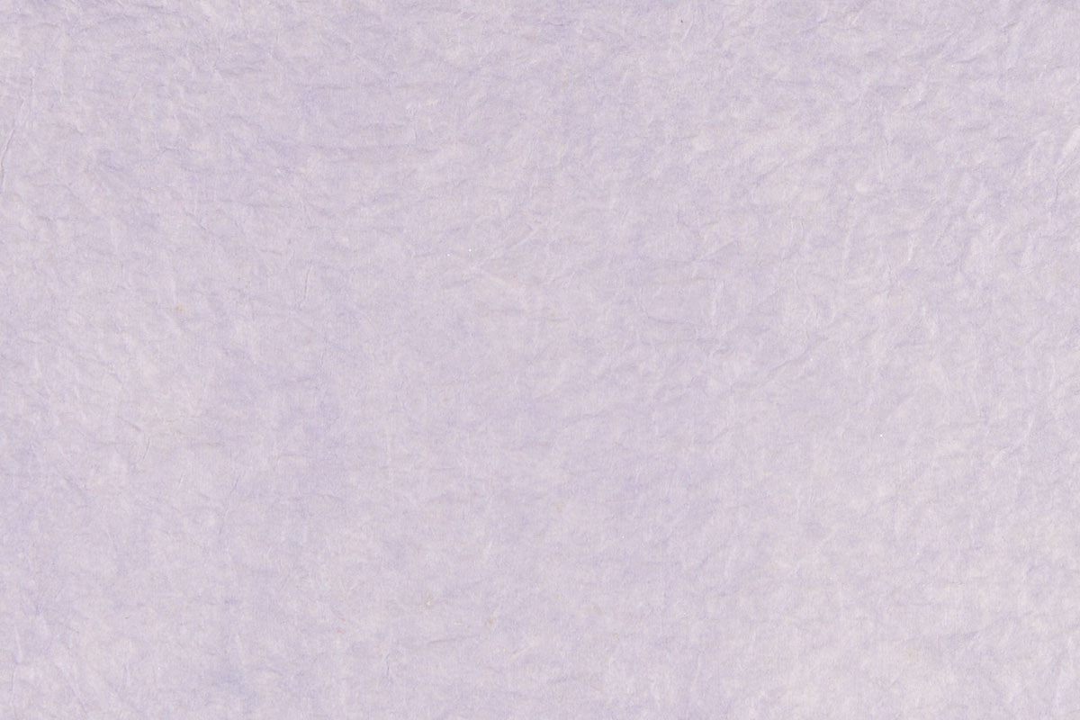e48-5500　和紙 紫色