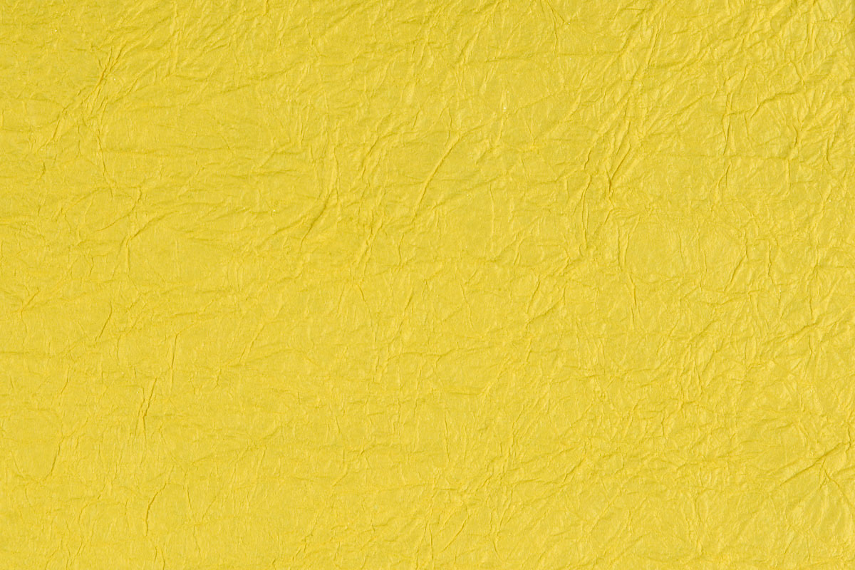 e48-5509　和紙 黄色