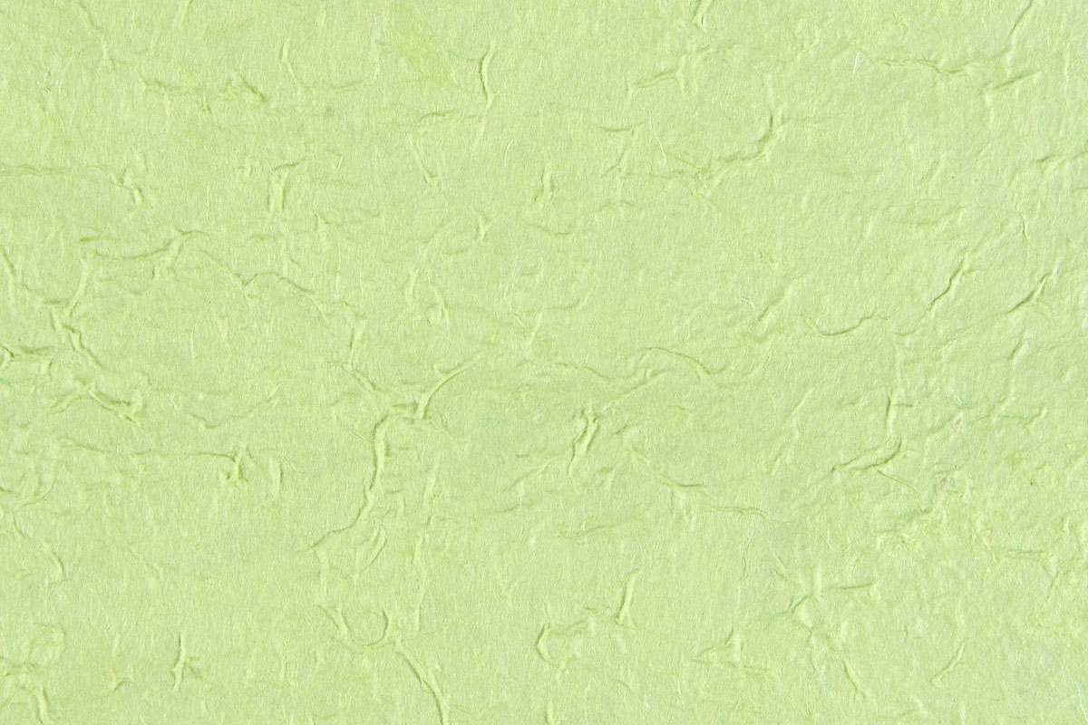 e48-5518　和紙 薄緑色 若苗色