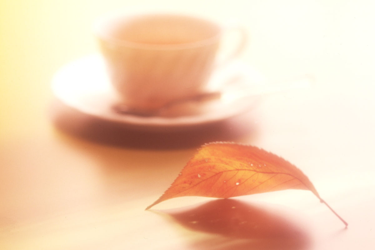 e48-枯れ葉　枯れ葉とティーカップ 秋のイメージ