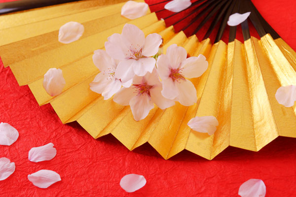 桜の花と花びら 金の扇子 赤い和紙の背景 祝い日本のイメージ 画像 フリー写真素材