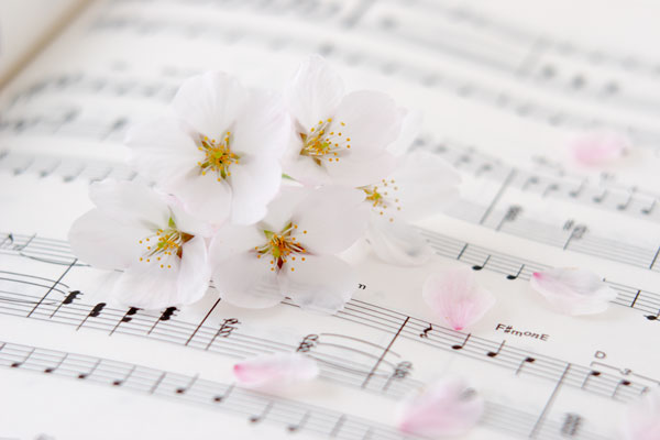 桜の花と楽譜　イメージ　 フリー写真素材　無料写真素材