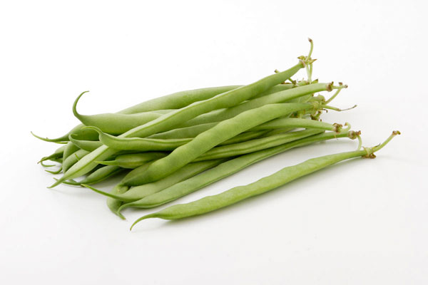 インゲン 画像1 白バック 野菜の素材 フリー写真素材