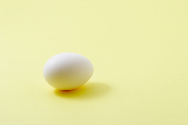 タマゴ1個（鶏卵）画像3 食の素材 無料写真素材