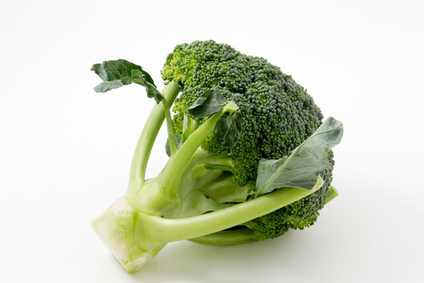 ブロッコリー 画像1 野菜の素材 無料写真素材