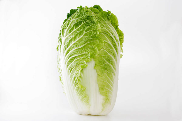 白菜 野菜 画像1 白い背景 無料写真素材