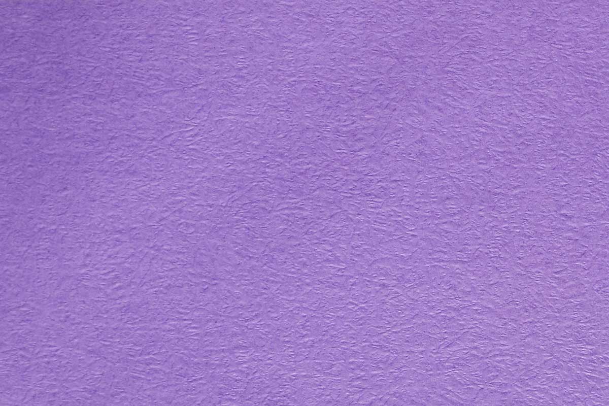 f56-1270　紫色