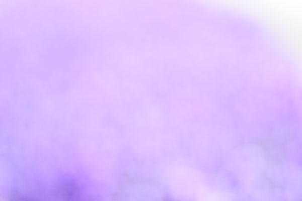 花のグラデーション 紫 ハーブ 画像2 無料写真素材