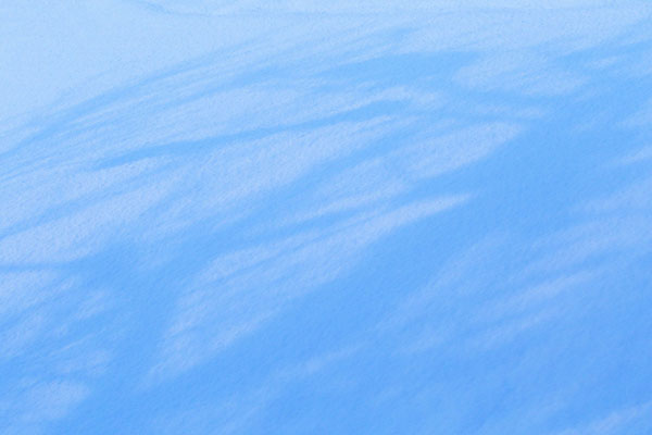 雪面に写った木立の陰 ブルー 画像2 フリー写真素材