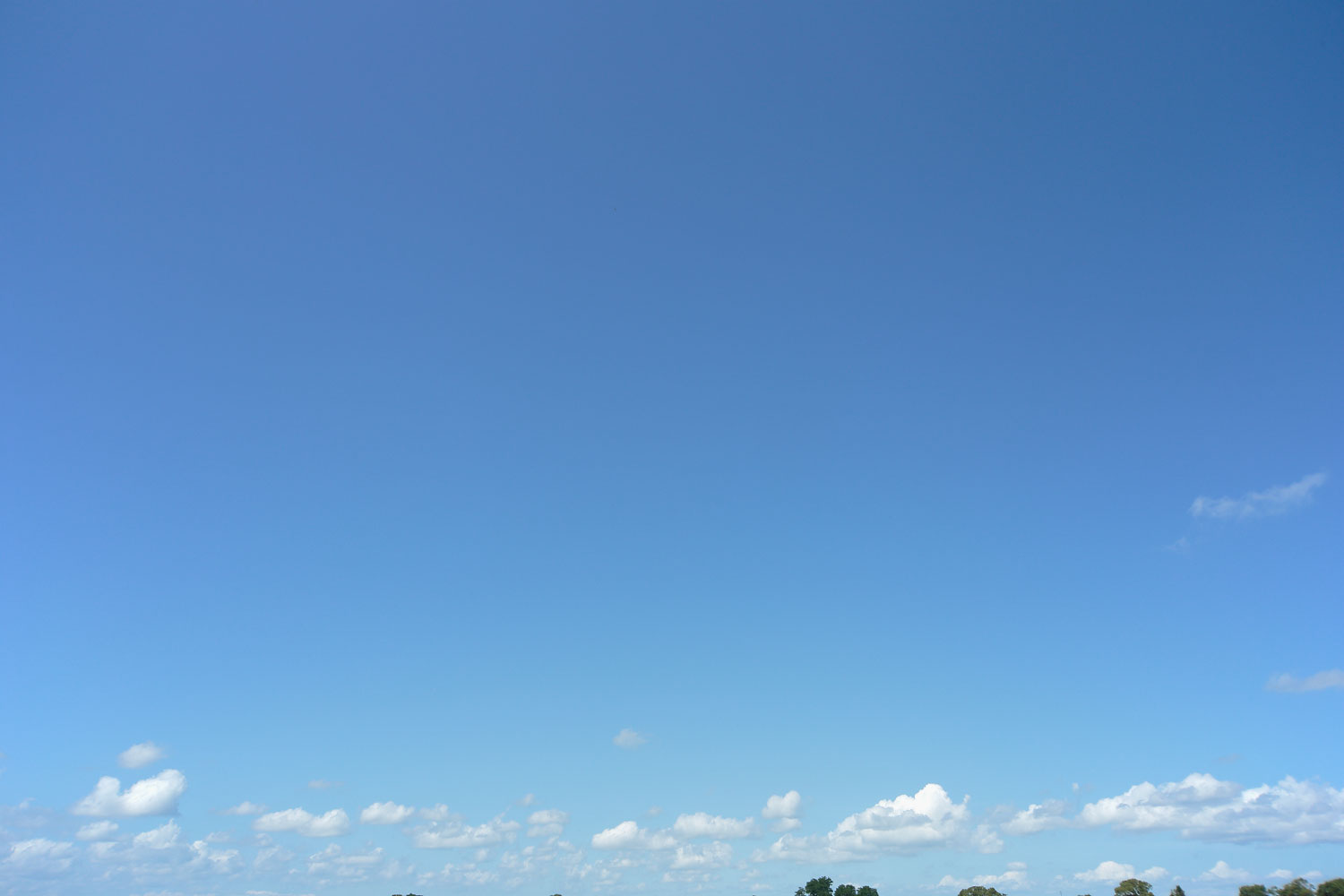 i73l-3601　青空と雲「花ざかりの森」
