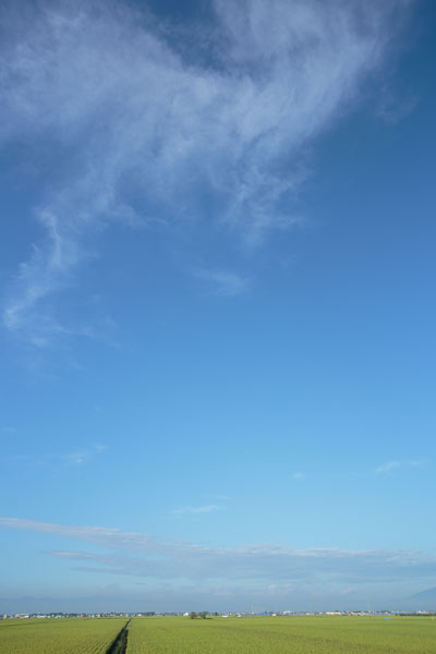 早朝の爽やかな青空・浮かぶ雲の無料画像。合成素材に最適。