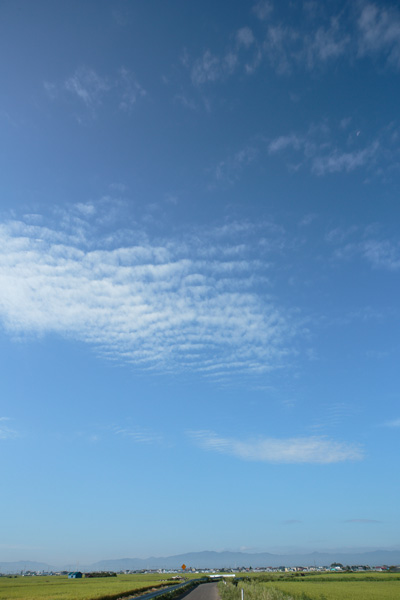 早朝の青空に浮かぶうろこ雲の写真。無料素材。合成素材に最適。レベル未調整、用途で調整してください。