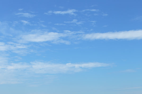 青空と雲 画像 3980 無料写真素材 フリー写真素材「花ざかりの森」