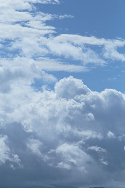 わき上がる雲 4032 縦 無料画像 無料写真素材「花ざかりの森」