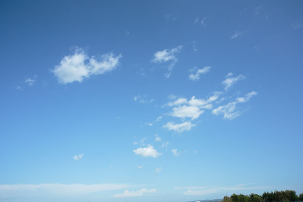 青空と雲 画像 合成用写真素材 4064 無料写真素材「花ざかりの森」