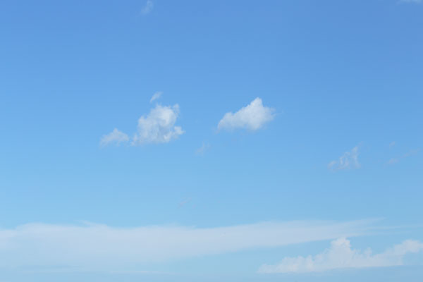 青空と雲 画像 合成用写真素材 4082 無料写真素材「花ざかりの森」