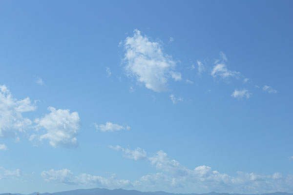 青空と雲 画像 合成用写真素材 4108 無料写真素材「花ざかりの森」