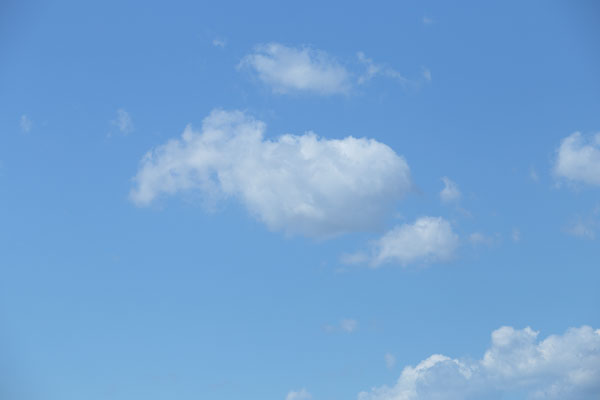 青空に浮か様々な形の浮き雲。金魚、亀。デザインの素材