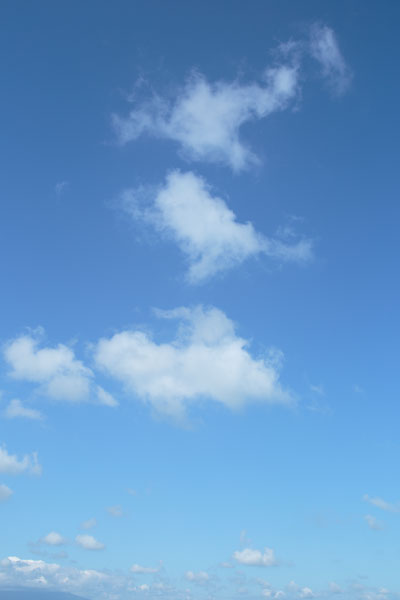 青空と雲 画像 4407 縦位置の画像 合成素材 無料写真素材「花ざかりの森」