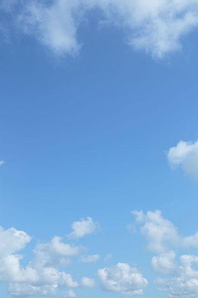 空と雲 4445 縦位置の無料画像 合成素材 フリー写真素材「花ざかりの森」