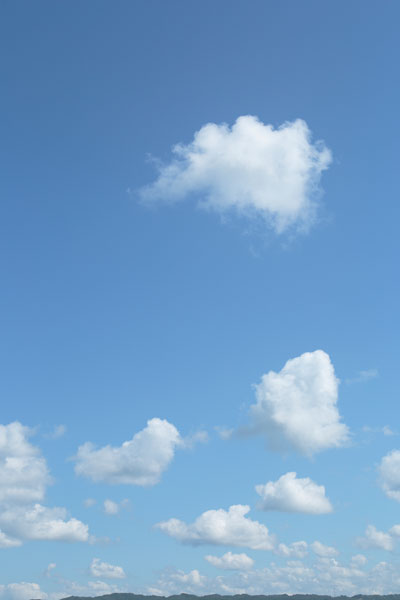 青空と雲 画像 4620 縦位置の画像 合成素材 フリー写真素材「花ざかりの森」