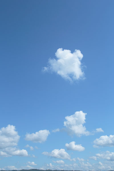 青空と雲 画像 4620 縦位置の無料画像 合成素材 フリー写真素材「花ざかりの森」