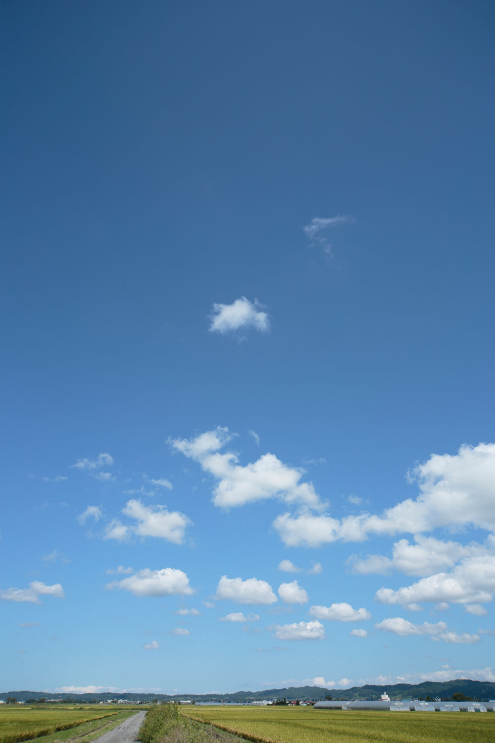 i78l-4676　青空と雲 　縦画像