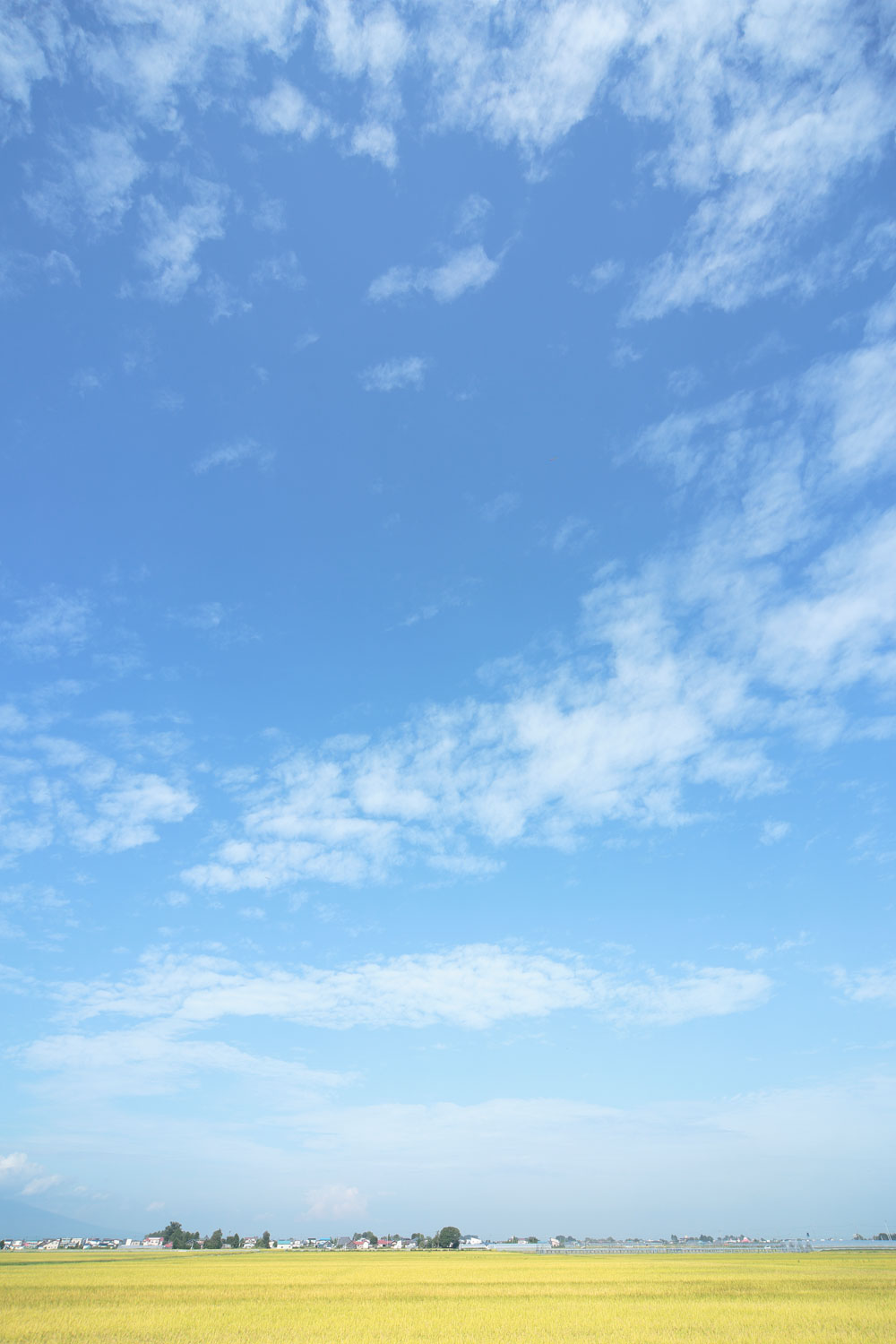 i78l-4798　青空と雲 　縦画像