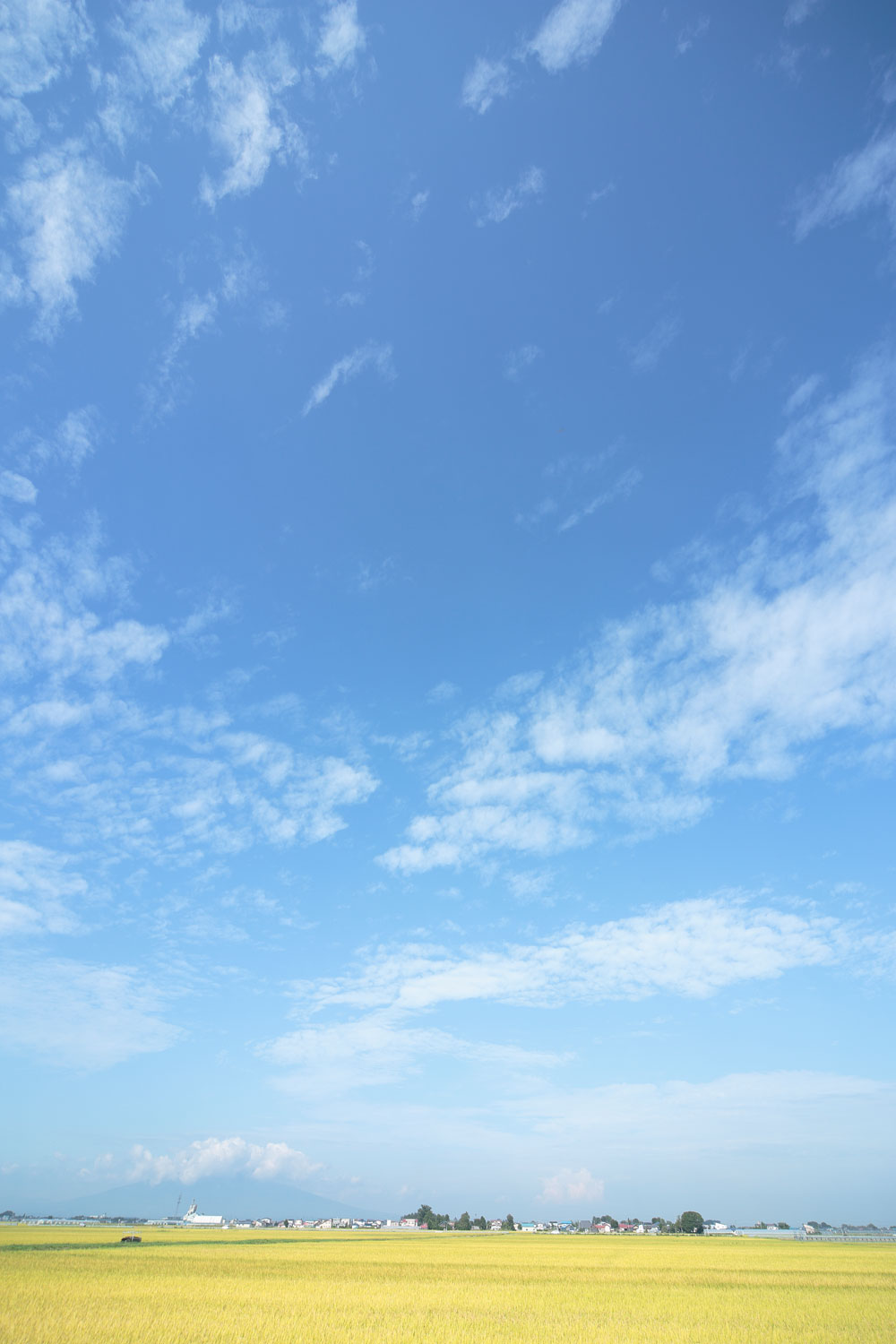 i78l-4809　青空と雲 　縦画像