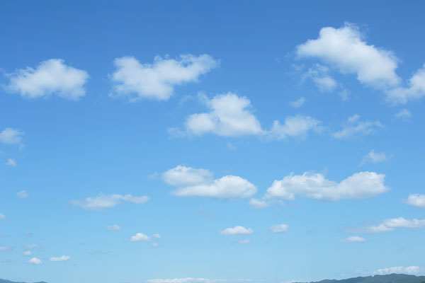 青空と雲 画像 合成素材 4680 フリー写真素材 「花ざかりの森」　