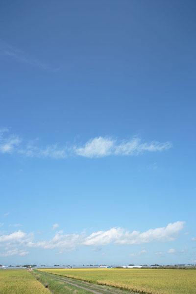 明るい爽やかな青空に浮か雲。縦位置の画像2枚。筋雲・うろこ雲