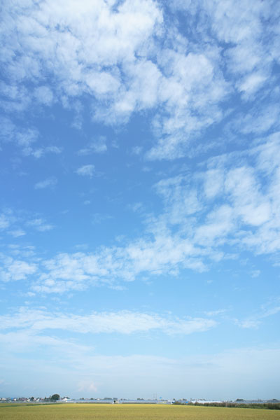 青空と雲 縦 画像 フリー写真素材