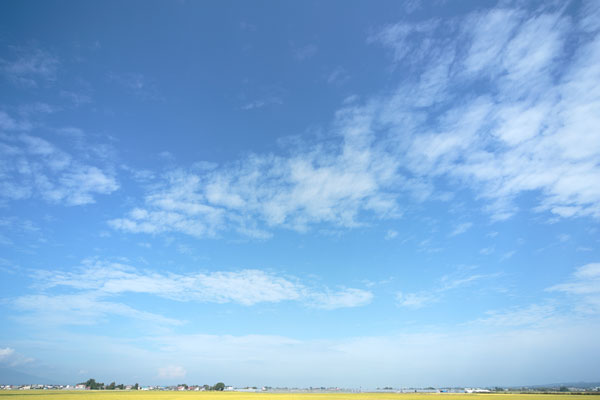 青空と雲 画像 合成素材 4800 無料写真素材 「花ざかりの森」