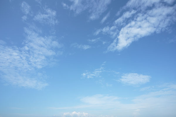 青空と雲 画像 合成素材 4847 フリー写真素材 「花ざかりの森」