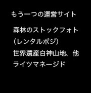 森林のストックフォト(レンタルポジ)世界遺産白神山地。ライツマネージド