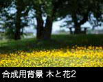 黄色い花と木立2