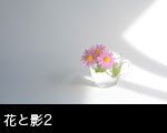 花イメージ 光と影2