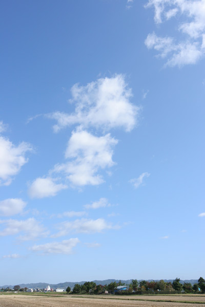 合成用 青空 空 雲の画像5 縦 無料写真素材フリー