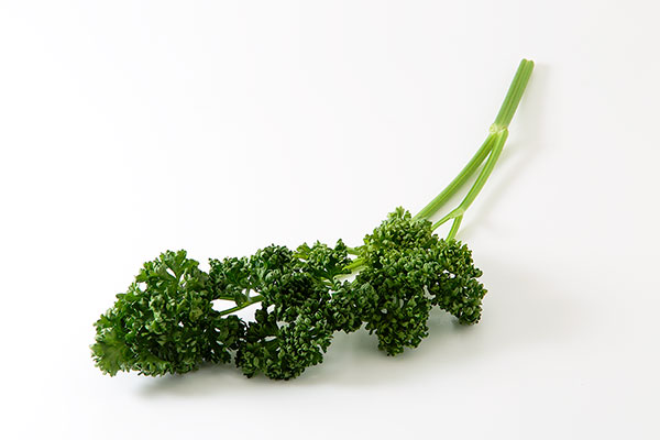パセリ 香草 野菜 画像2枚 白い背景 フリー写真素材 無料写真素材 花ざかりの森