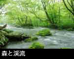 奥入瀬渓流 新緑の森を流れる 無料写真素材