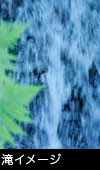 無料写真素材 森と 清流 水流のイメージ 滝イメージ　水イメージ　