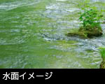 無料写真素材 ストックフォト「森と渓流、せせらぎ」水面イメージ