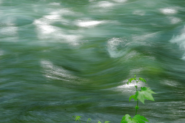 水面 涼しげな水の流れイメージ クローズアップ 画像9 無料写真素材 フリー