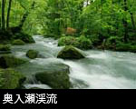 無料写真素材 新緑の奥入瀬渓流