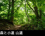 森と小道 山道